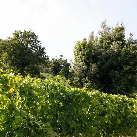 Farm stay Quinta De Reis Ponte da Barca