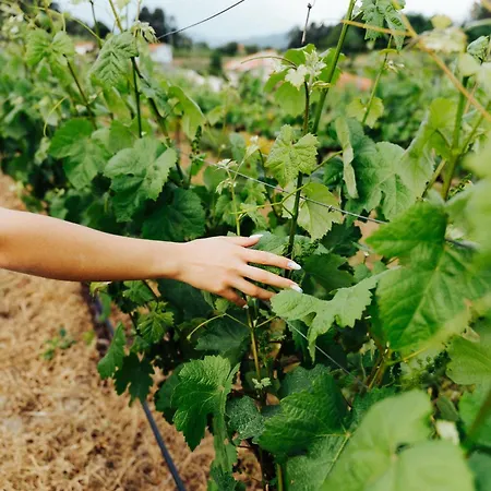 Quinta De Reis