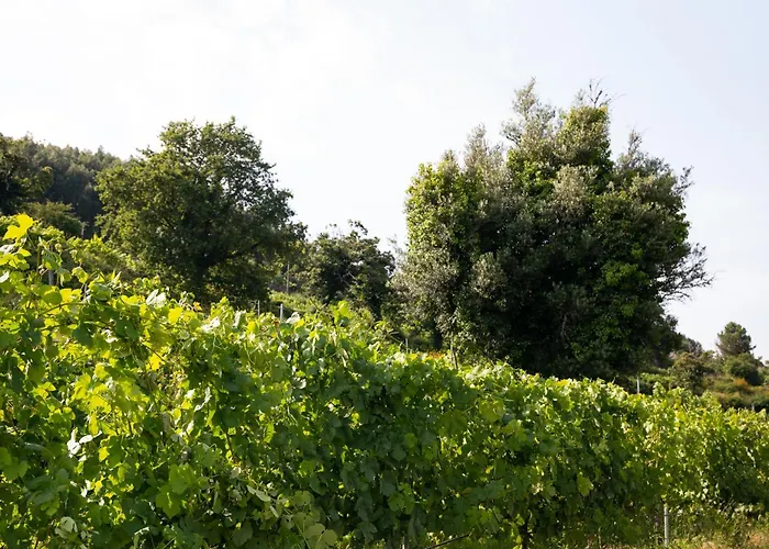 Bauernhof Quinta De Reis Ponte da Barca